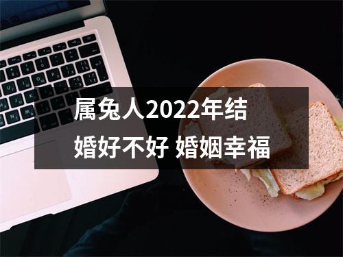 属兔人2025年结婚好不好婚姻幸福