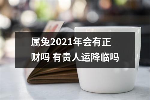 属兔2025年会有正财吗有贵人运降临吗