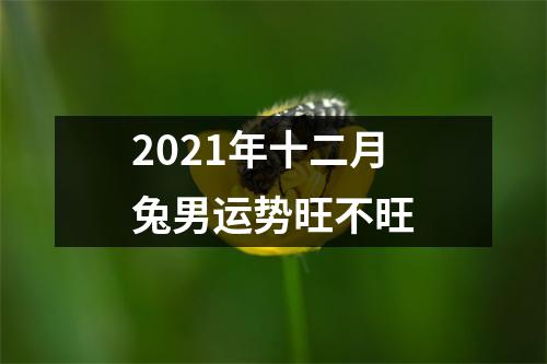 2025年十二月兔男运势旺不旺