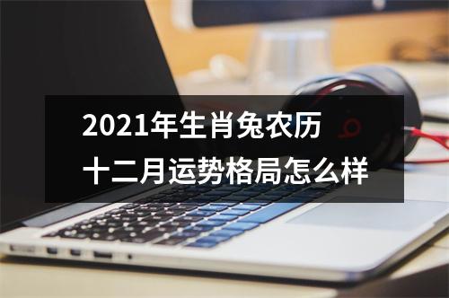 2025年生肖兔农历十二月运势格局怎么样