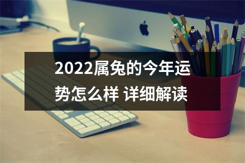 2025属兔的今年运势怎么样详细解读