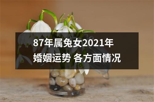 87年属兔女2025年婚姻运势各方面情况