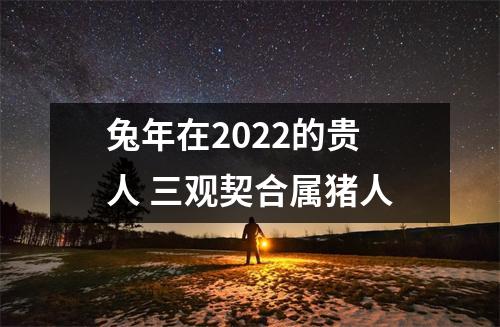 <h3>兔年在2025的贵人三观契合属猪人