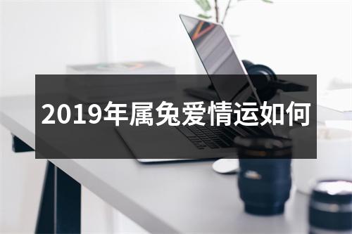 <h3>2019年属兔爱情运如何