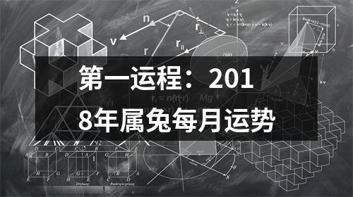 第一运程：2018年属兔每月运势