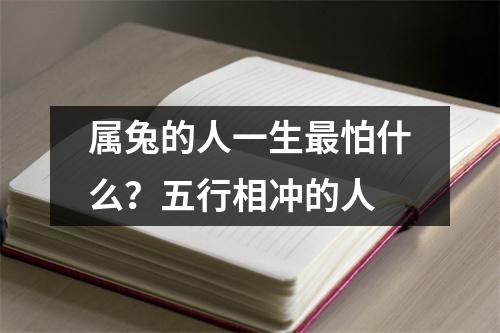 属兔的人一生怕什么？五行相冲的人