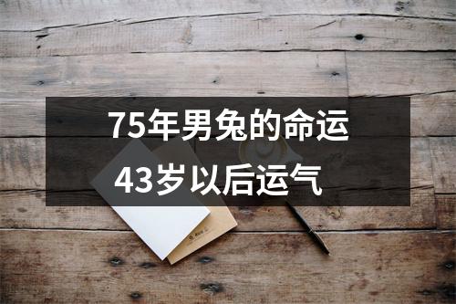 <h3>75年男兔的命运43岁以后运气