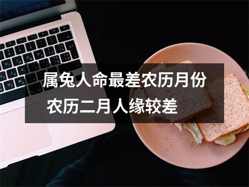 属兔人命差农历月份农历二月人缘较差