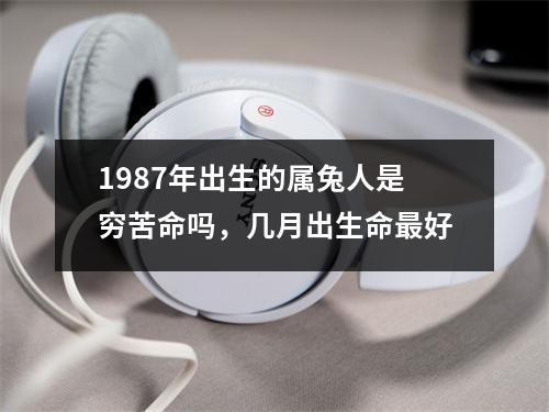 1987年出生的属兔人是穷苦命吗，几月出生命好