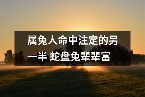 <h3>属兔人命中注定的另一半蛇盘兔辈辈富