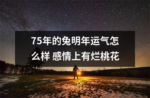 <h3>75年的兔明年运气怎么样感情上有烂桃花