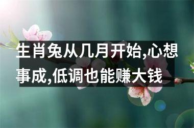 生肖兔从几月开始,心想事成,低调也能赚大钱