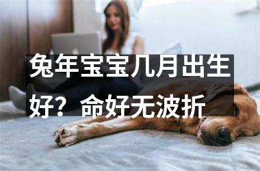 <h3>兔年宝宝几月出生好？命好无波折