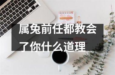 属兔前任都教会了你什么道理