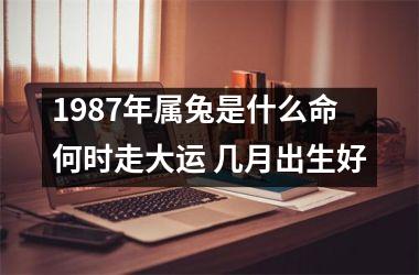 <h3>1987年属兔是什么命 何时走大运 几月出生好