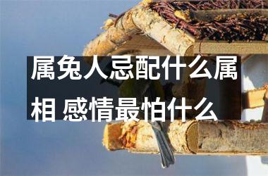 属兔人忌配什么属相 感情怕什么