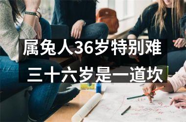 <h3>属兔人36岁特别难 三十六岁是一道坎