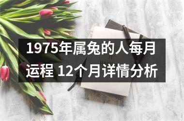 <h3>1975年属兔的人每月运程 12个月详情分析