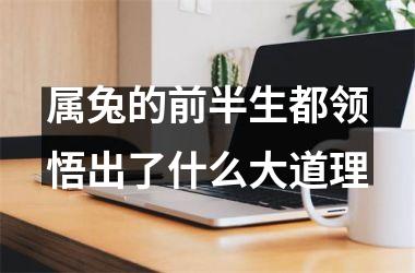 属兔的前半生都领悟出了什么大道理