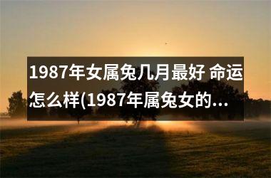 <h3>1987年女属兔几月好 命运怎么样(1987年属兔女的命运)