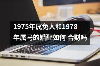 <h3>1975年属兔人和1978年属马的婚配如何 合财吗