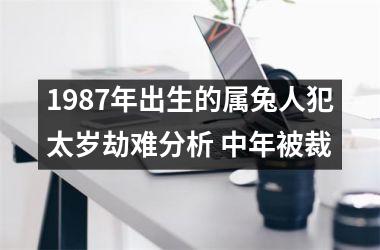 1987年出生的属兔人犯太岁劫难分析 中年被裁