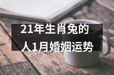 <h3>21年生肖兔的人1月婚姻运势