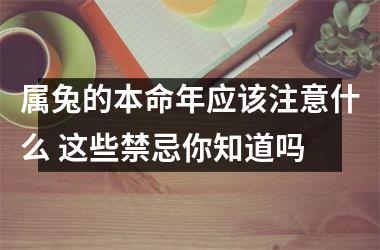 属兔的本命年应该注意什么 这些禁忌你知道吗