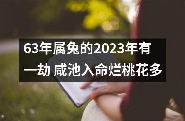 <h3>63年属兔的2025年有一劫 咸池入命烂桃花多