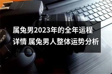 <h3>属兔男2025年的全年运程详情 属兔男人整体运势分析