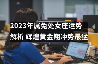 2025年属兔处女座运势解析 辉煌黄金期冲势猛