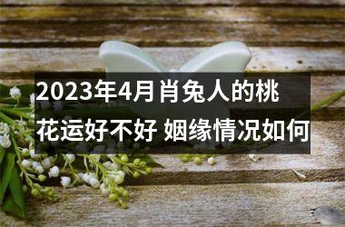 2025年4月肖兔人的桃花运好不好 姻缘情况如何