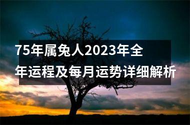 <h3>75年属兔人2025年全年运程及每月运势详细解析