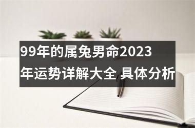 <h3>99年的属兔男命2025年运势详解大全 具体分析