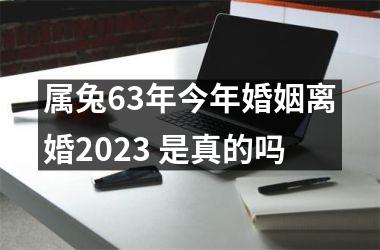 <h3>属兔63年今年婚姻离婚2025 是真的吗