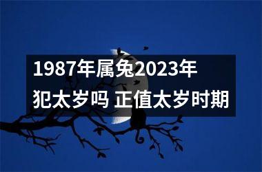 <h3>1987年属兔2025年犯太岁吗 正值太岁时期