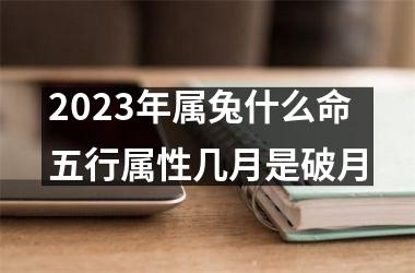 <h3>2025年属兔什么命五行属性几月是破月