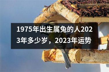 1975年出生属兔的人2025年多少岁，2025年运势