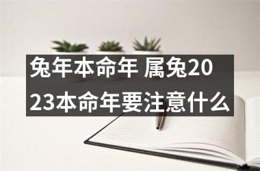 <h3>兔年本命年 属兔2025本命年要注意什么