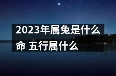 2025年属兔是什么命 五行属什么