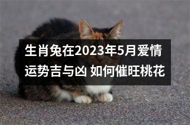 生肖兔在2025年5月爱情运势吉与凶 如何催旺桃花