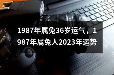 <h3>1987年属兔36岁运气，1987年属兔人2025年运势