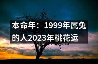 本命年：1999年属兔的人2025年桃花运