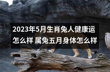 2025年5月生肖兔人健康运怎么样 属兔五月身体怎么样