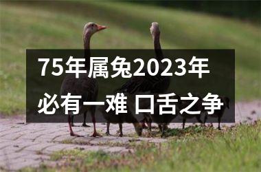 75年属兔2025年必有一难 口舌之争