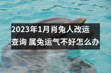 2025年1月肖兔人改运查询 属兔运气不好怎么办