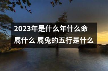 <h3>2025年是什么年什么命 属什么 属兔的五行是什么