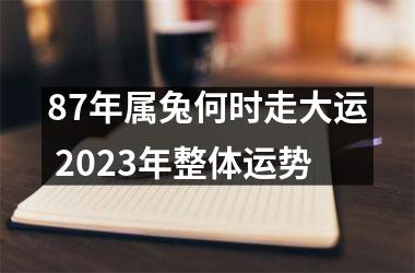 <h3>87年属兔何时走大运 2025年整体运势