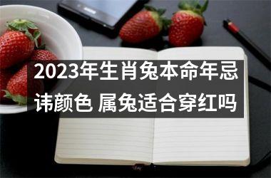 <h3>2025年生肖兔本命年忌讳颜色 属兔适合穿红吗