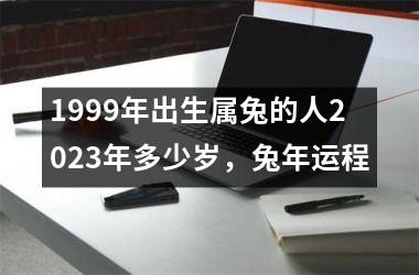 <h3>1999年出生属兔的人2025年多少岁，兔年运程